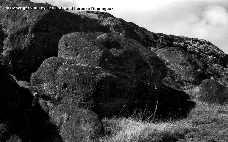 RRI_Cantera_Interior_11.jpg - Easter Island. 1960. Interior slope of Rano Raraku. An almost completely carved moai, still connected to the rock by its entire back surface.